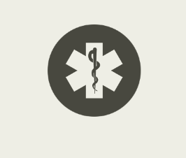 paramedics logo