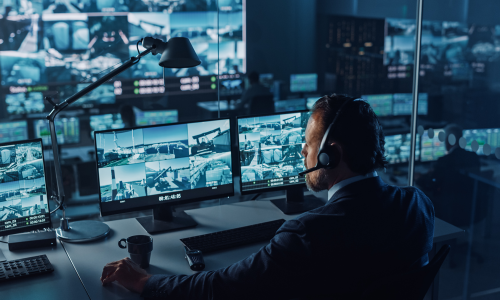 video remote monitoring service
